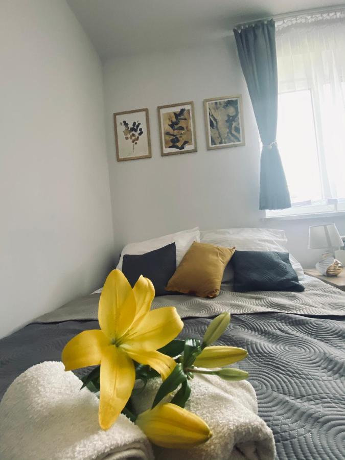 Apartamenty Majka Zator Eksteriør billede
